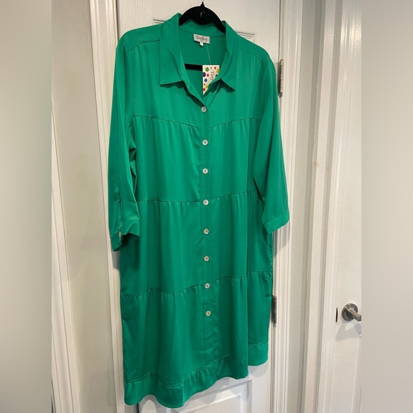 NWT Toofan Size L Jade Green Long Sleeve Pearl Button Front Tiered Shift Dress - Picture 3 of 14